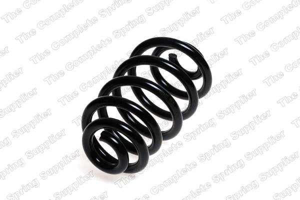 Suspension Spring 4204257