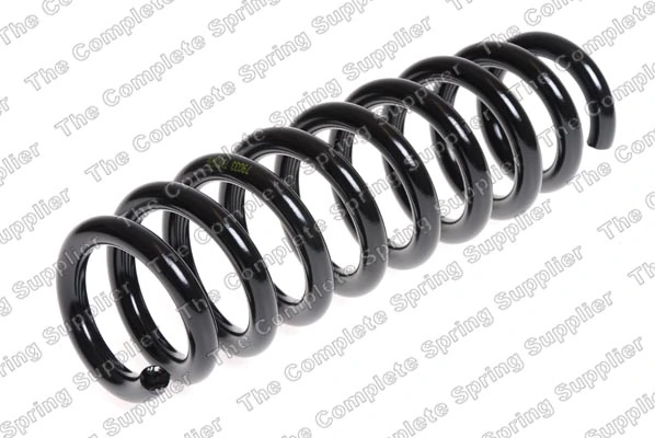 Suspension Spring 4208464