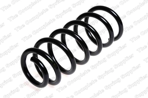 Suspension Spring 4204237