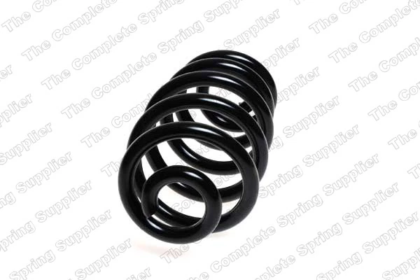 Suspension Spring 4204258