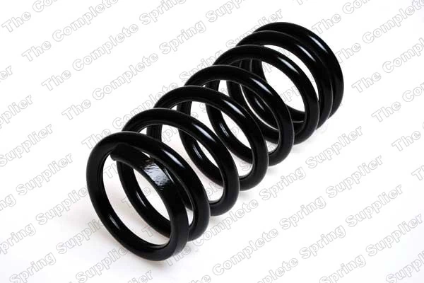 Suspension Spring 4227528