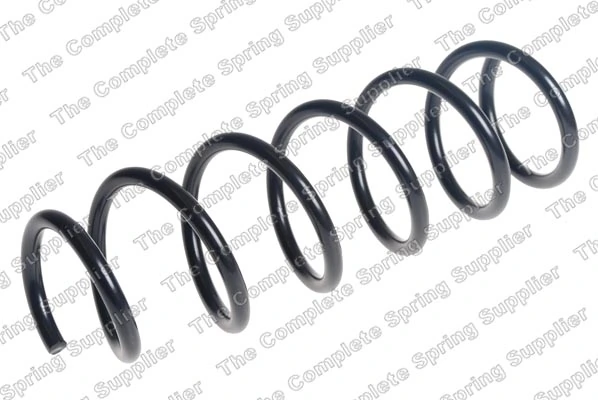 Suspension Spring 4208524