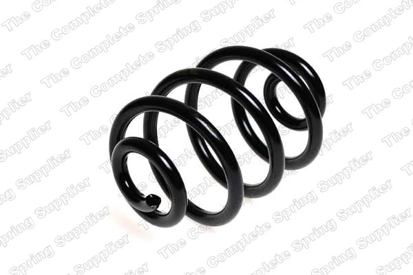 Suspension Spring 4208417
