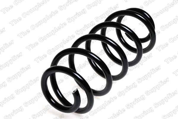 Suspension Spring 4004218