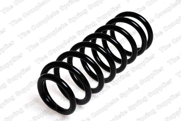 Suspension Spring 4204203