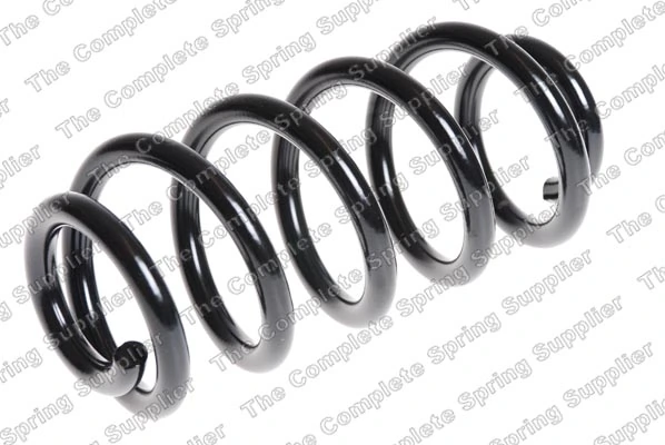 Suspension Spring 4204264