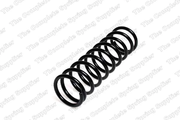 Suspension Spring 4204219