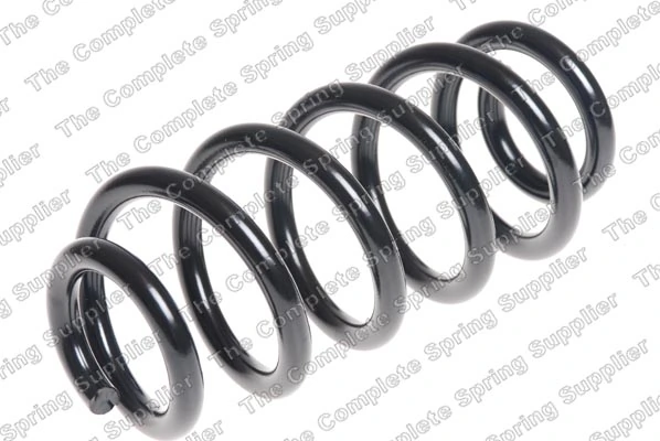 Suspension Spring 4204271