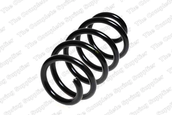 Suspension Spring 4217002