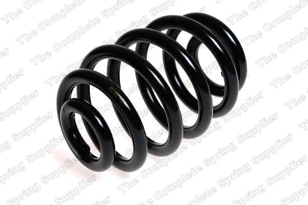 Suspension Spring 4208440