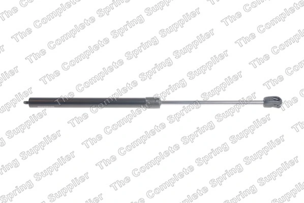 Gas Spring, bonnet 8056838