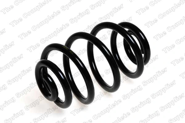 Suspension Spring 4208402