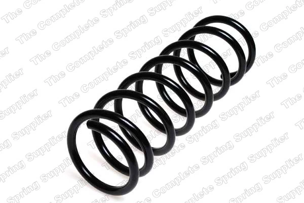 Suspension Spring 4227524