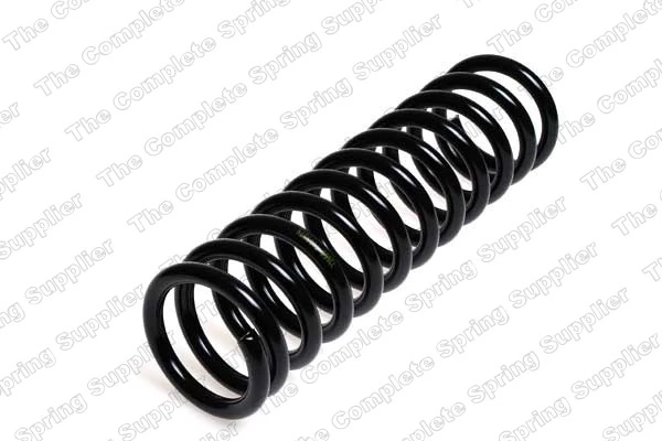 Suspension Spring 4204202
