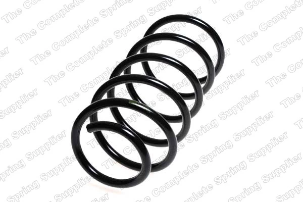 Suspension Spring 4214200