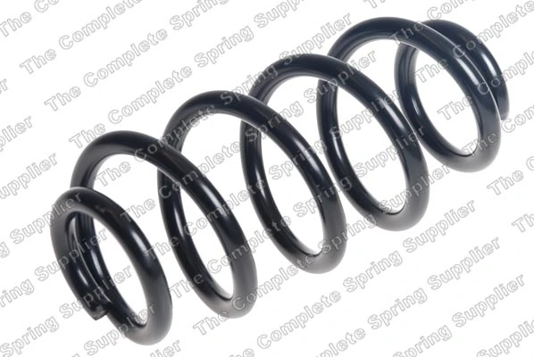 Suspension Spring 4208521