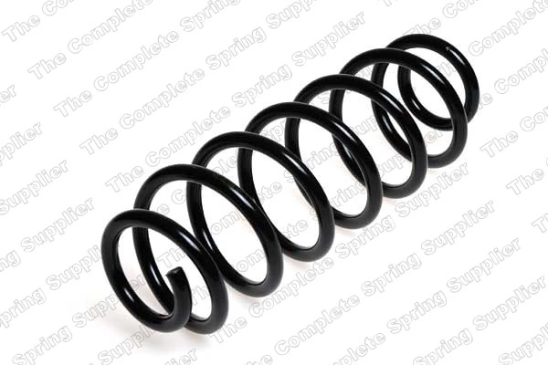 Suspension Spring 4204224