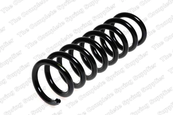 Suspension Spring 4256849