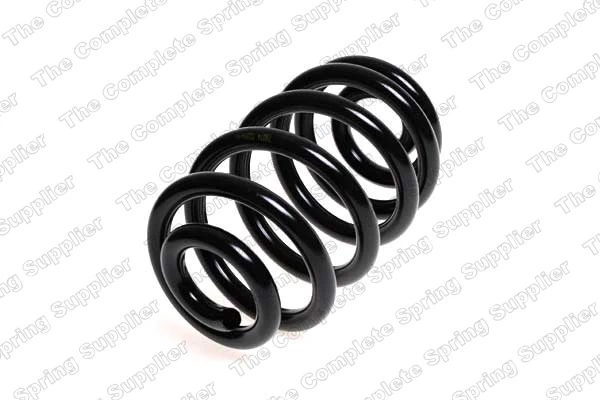 Suspension Spring 4208450