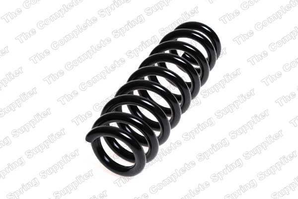 Suspension Spring 4208456