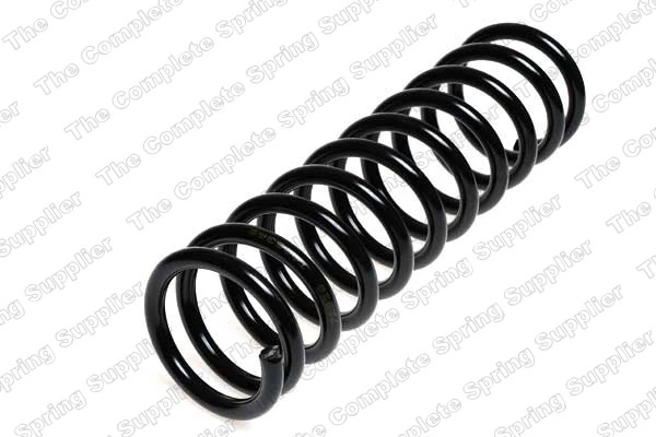Suspension Spring 4208407