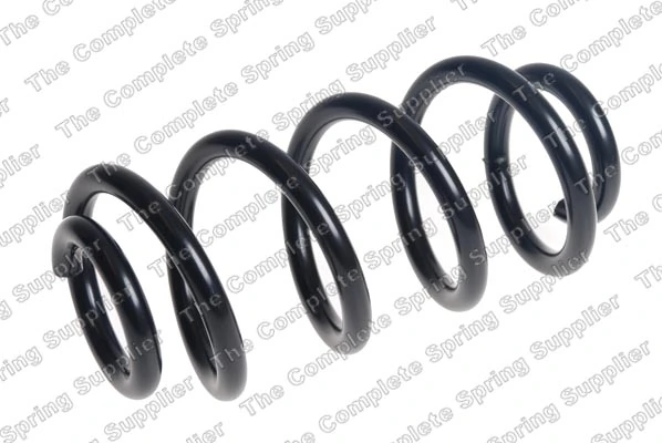 Suspension Spring 4208516