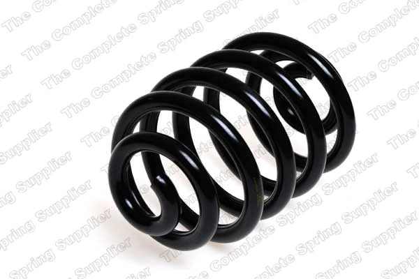 Suspension Spring 4208419