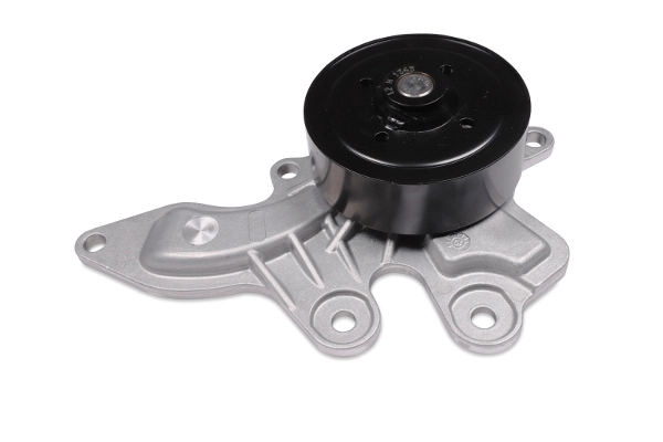 Water Pump, engine cooling P7858