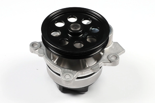 Water Pump, engine cooling P271