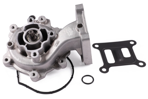 Water Pump, engine cooling P247