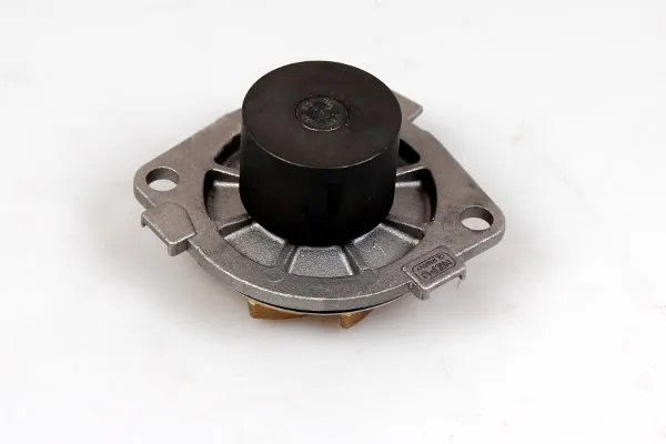 Water Pump, engine cooling P1053