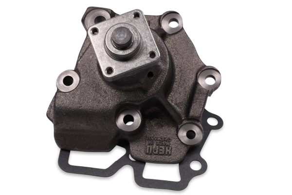 Water Pump, engine cooling P202