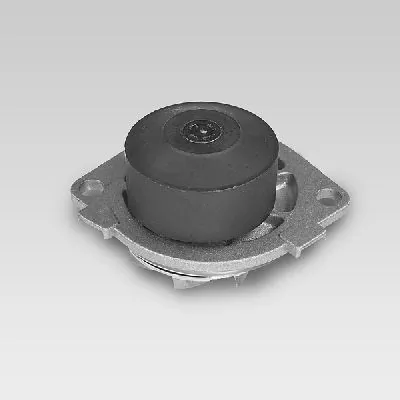 Water Pump, engine cooling P1041