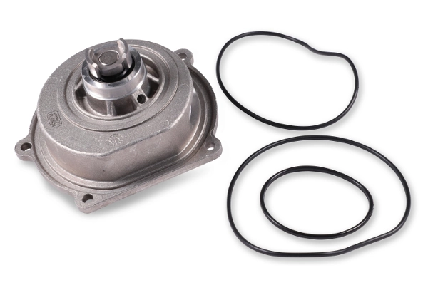 Water Pump, engine cooling P2610