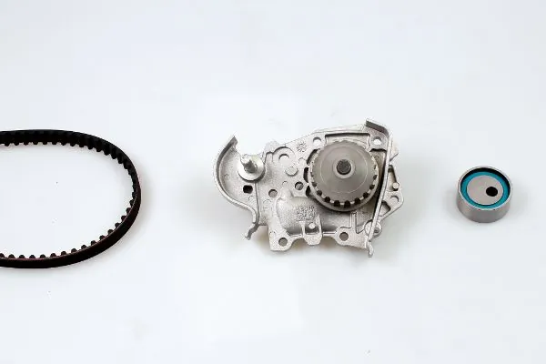 Water Pump & Timing Belt Kit PK08491