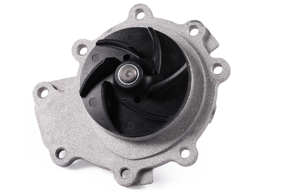 Water Pump, engine cooling P252