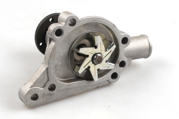 Water Pump, engine cooling P1022