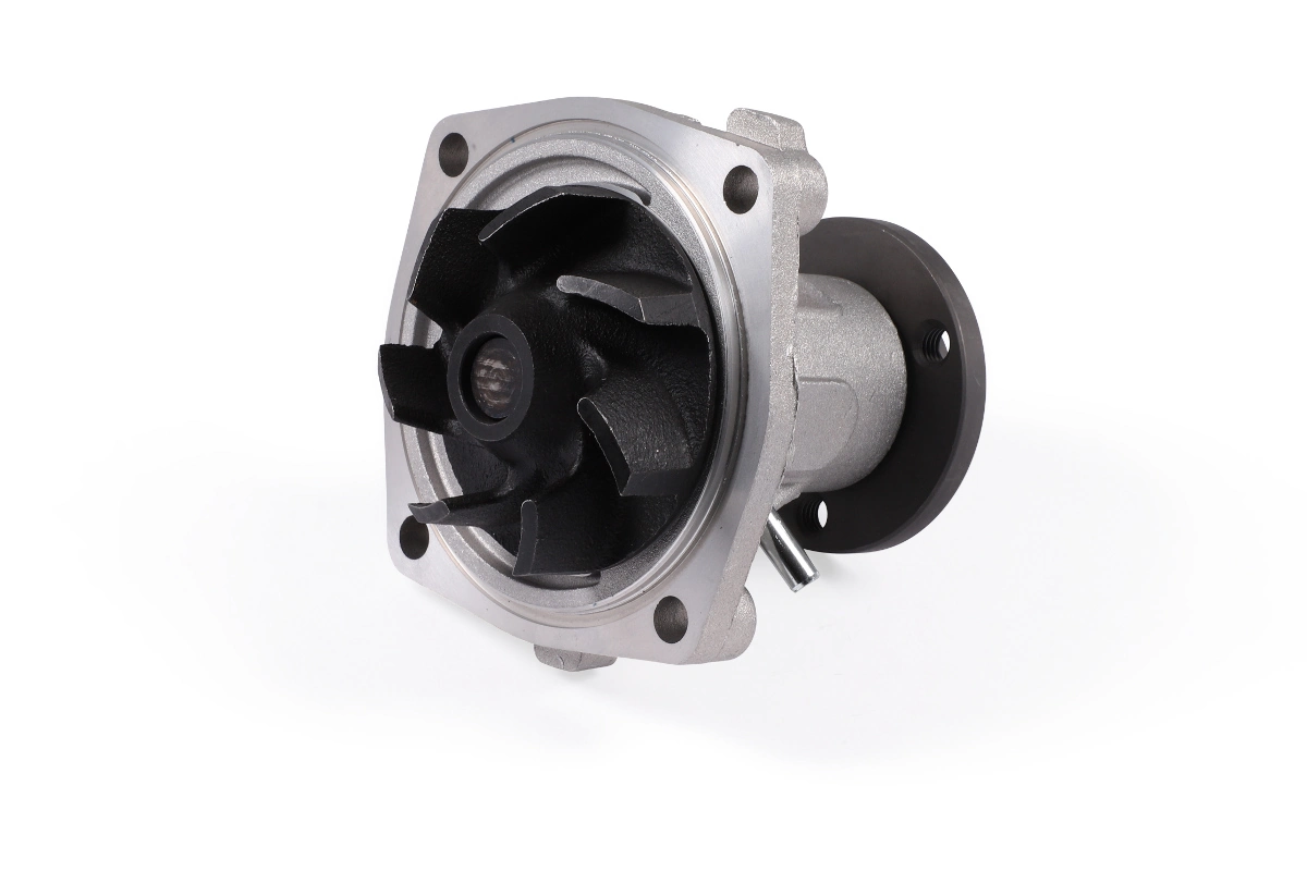 Water Pump, engine cooling P1081