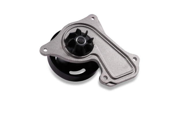 Water Pump, engine cooling P969