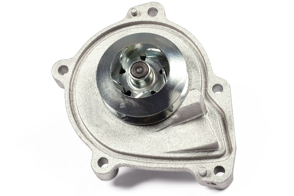 Water Pump, engine cooling P495