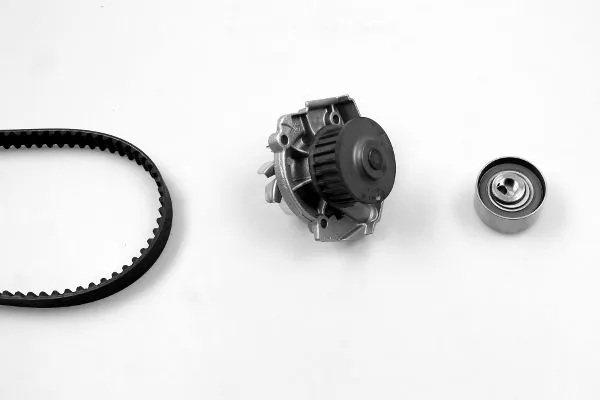 Water Pump & Timing Belt Kit PK10581