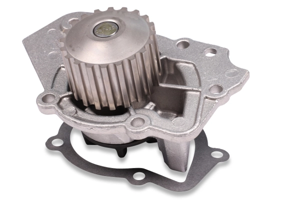 Water Pump, engine cooling P816