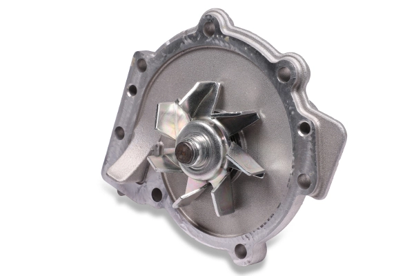 Water Pump, engine cooling P061