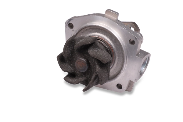 HEPU P065S Water Pump, engine cooling