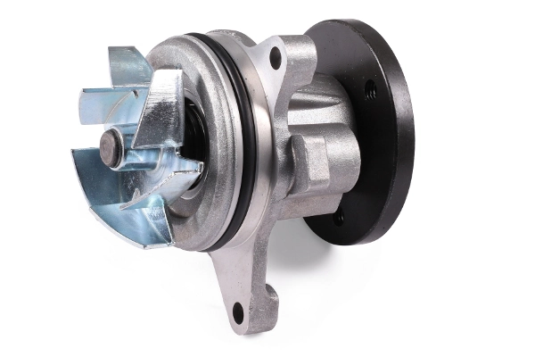 Water Pump, engine cooling P251