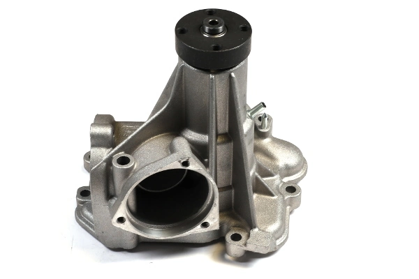 Water Pump, engine cooling P181