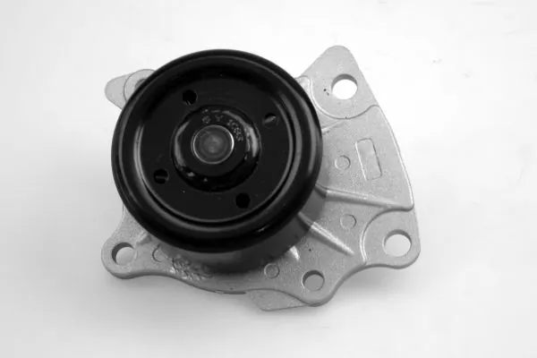 Water Pump, engine cooling P7649