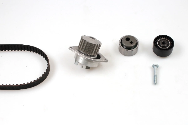 Water Pump & Timing Belt Kit PK08120