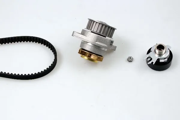 Water Pump & Timing Belt Kit PK05402