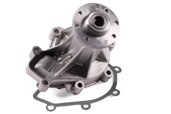 Water Pump, engine cooling P176
